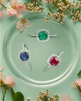 Fabriano - Piazza del Comune 25 - Anillo Bliss Mujer BL DREAM COLORE in Oro blanco Zaffiro 0.55 Ct 20108540 - 20108540